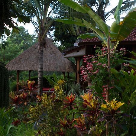 Rumah Sungai Villa Ουμπούντ Εξωτερικό φωτογραφία