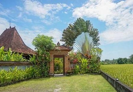 Rumah Sungai Villa Ουμπούντ Εξωτερικό φωτογραφία