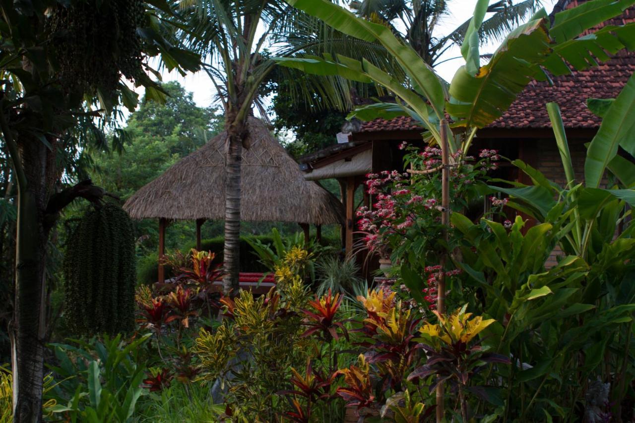 Rumah Sungai Villa Ουμπούντ Εξωτερικό φωτογραφία
