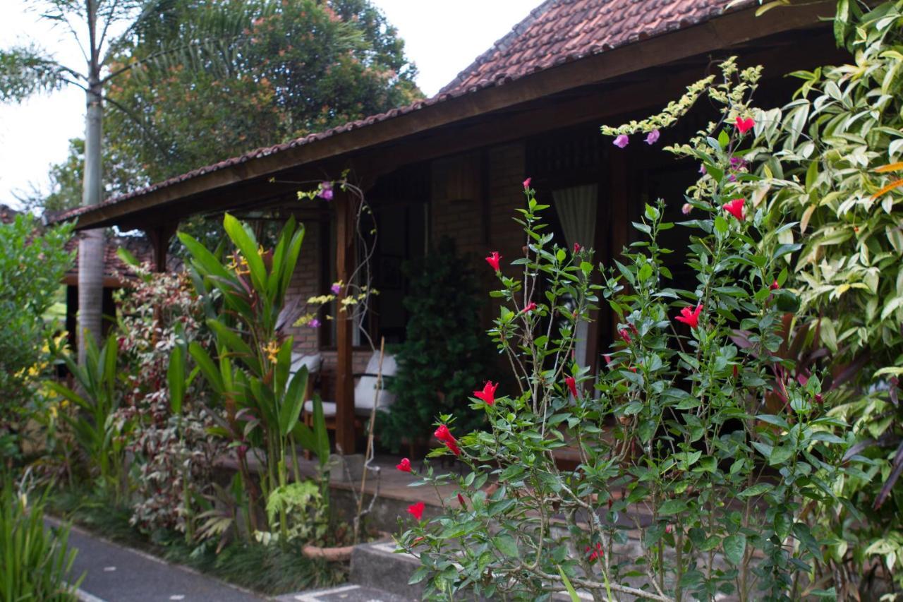 Rumah Sungai Villa Ουμπούντ Εξωτερικό φωτογραφία