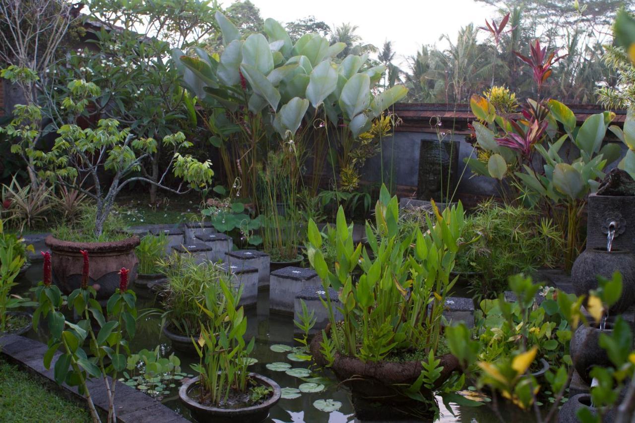 Rumah Sungai Villa Ουμπούντ Εξωτερικό φωτογραφία