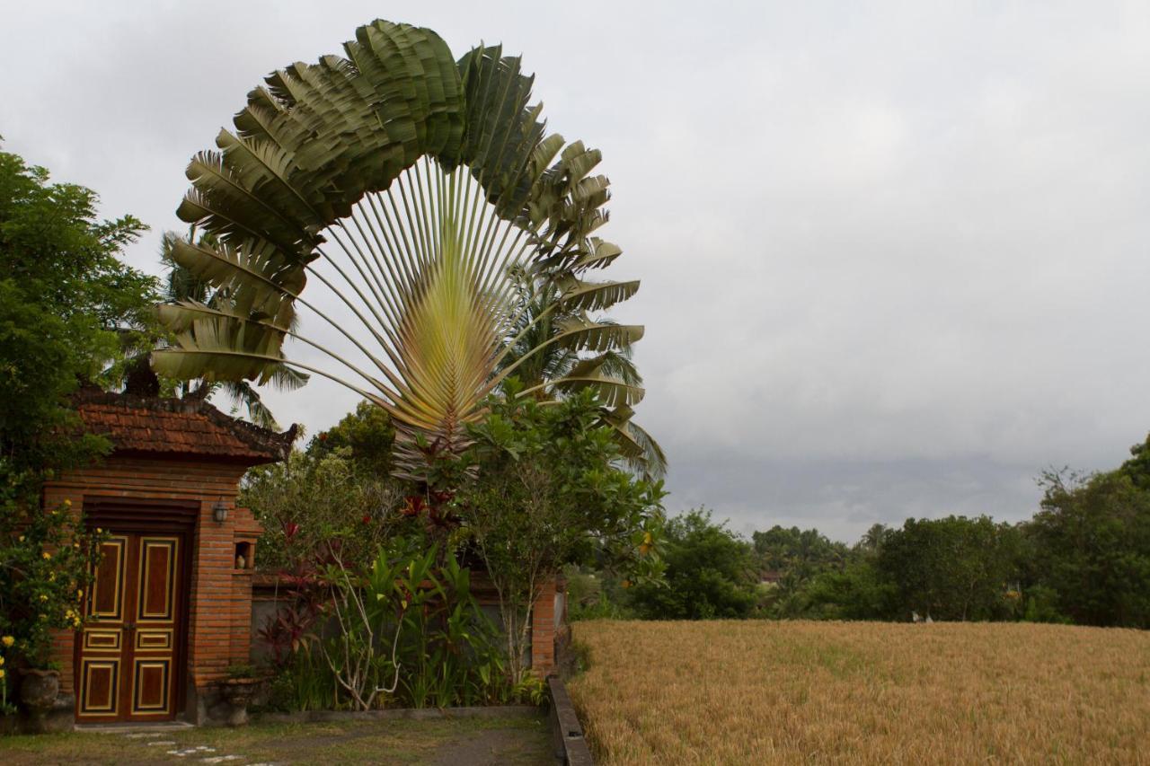 Rumah Sungai Villa Ουμπούντ Εξωτερικό φωτογραφία