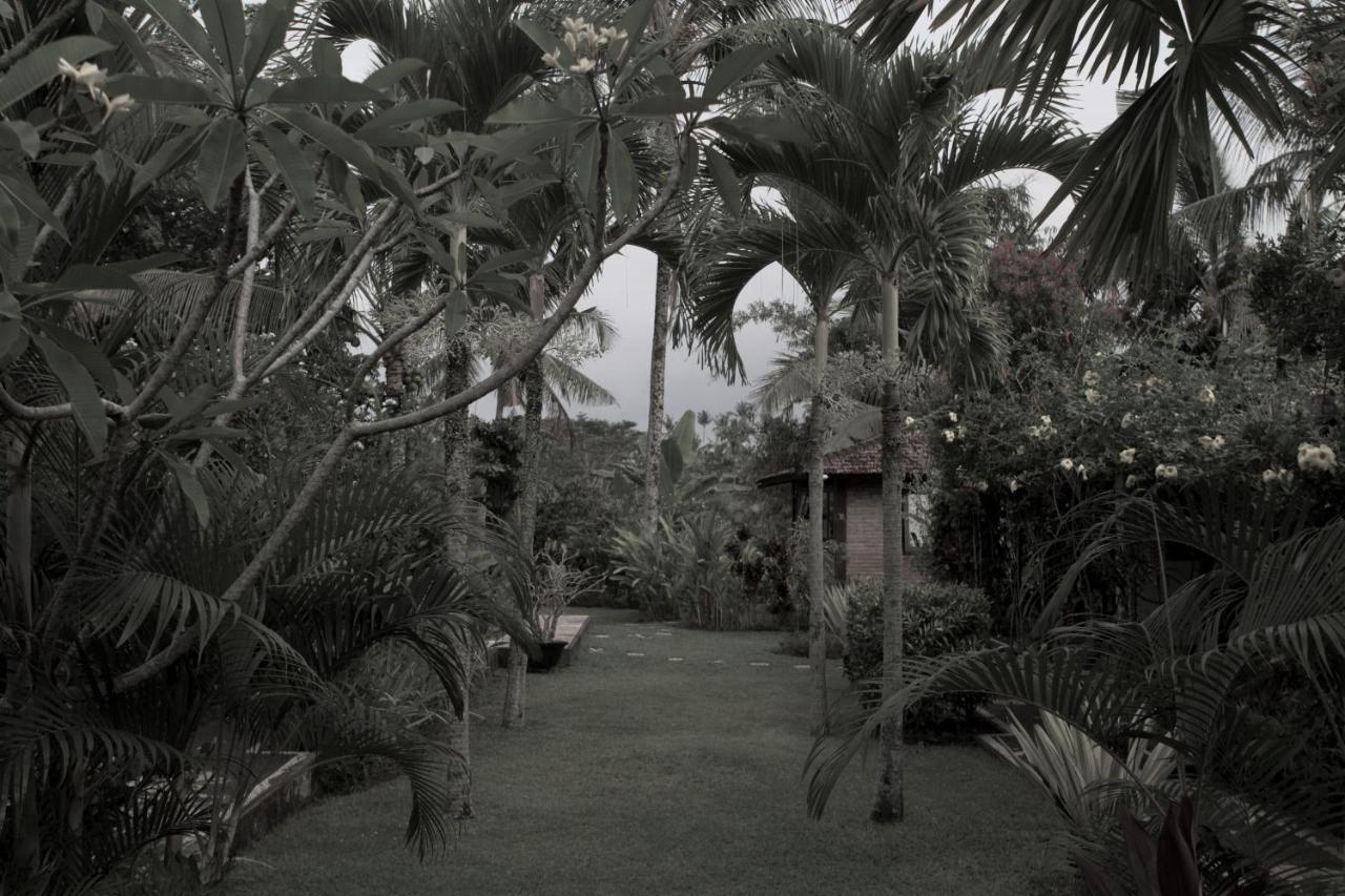 Rumah Sungai Villa Ουμπούντ Εξωτερικό φωτογραφία