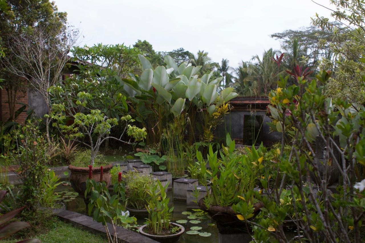 Rumah Sungai Villa Ουμπούντ Εξωτερικό φωτογραφία