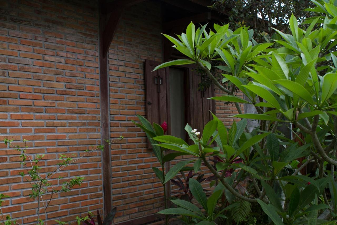 Rumah Sungai Villa Ουμπούντ Εξωτερικό φωτογραφία