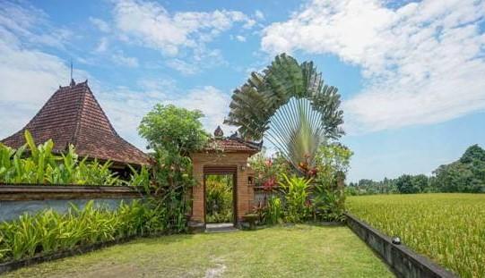 Rumah Sungai Villa Ουμπούντ Εξωτερικό φωτογραφία