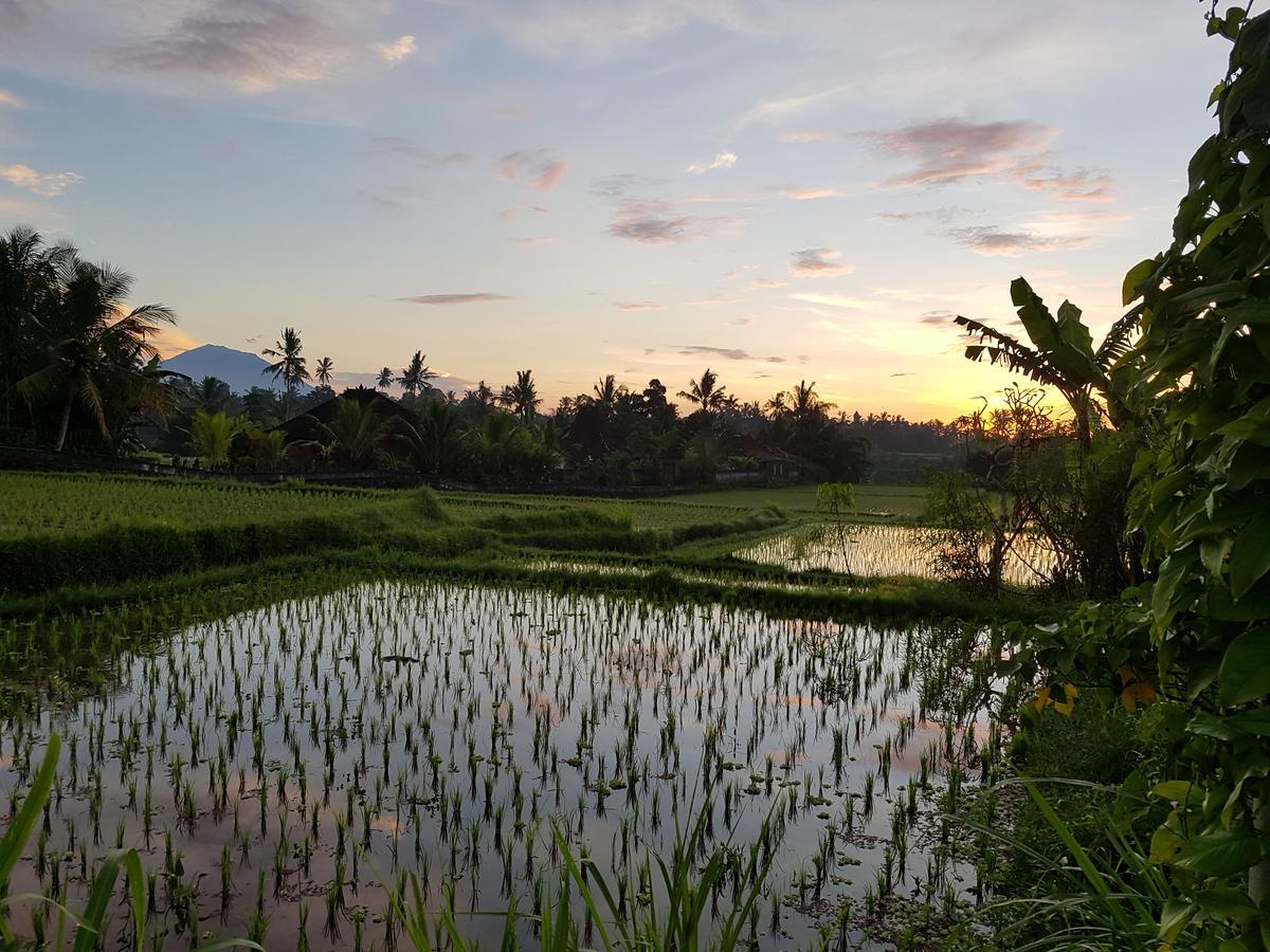 Rumah Sungai Villa Ουμπούντ Εξωτερικό φωτογραφία