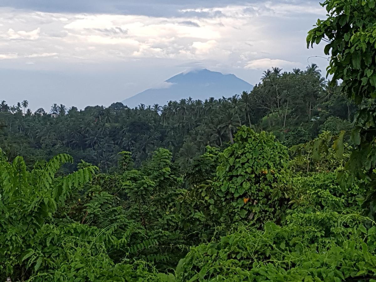 Rumah Sungai Villa Ουμπούντ Εξωτερικό φωτογραφία