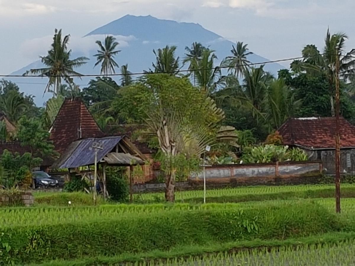 Rumah Sungai Villa Ουμπούντ Εξωτερικό φωτογραφία