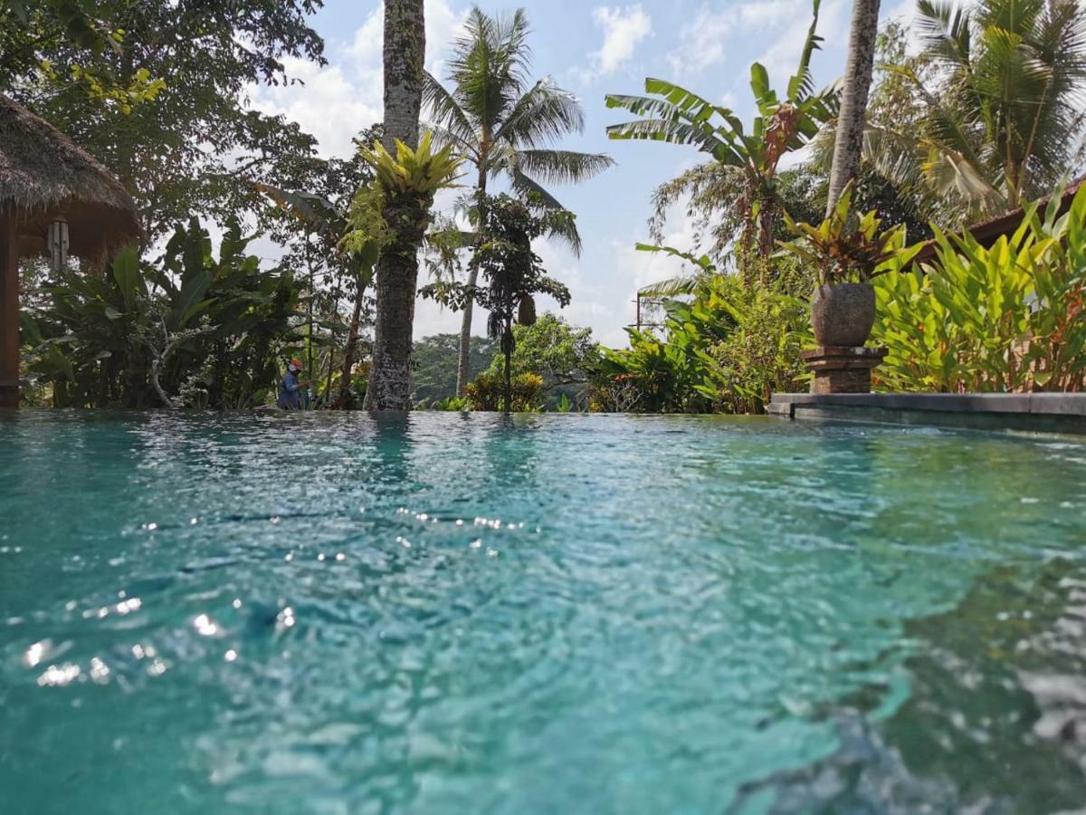 Rumah Sungai Villa Ουμπούντ Εξωτερικό φωτογραφία
