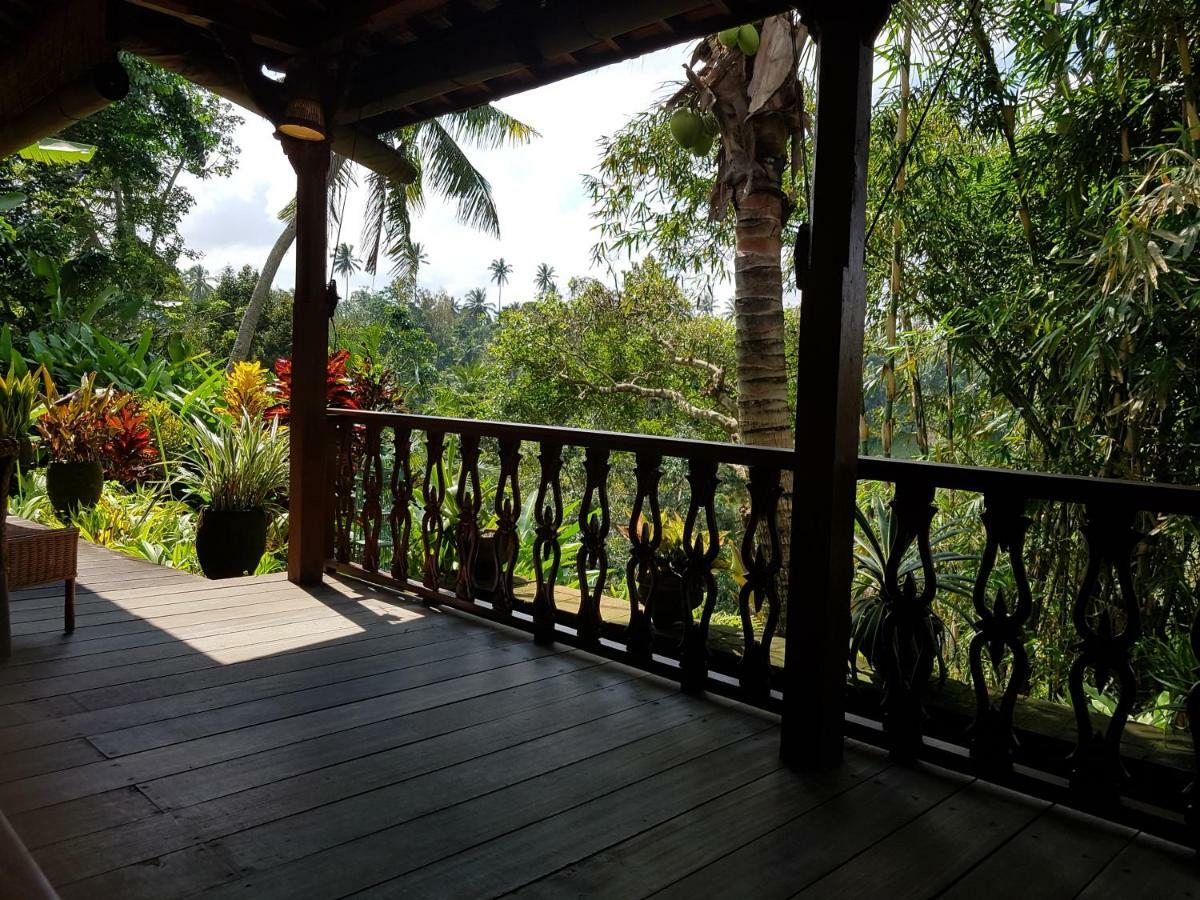 Rumah Sungai Villa Ουμπούντ Εξωτερικό φωτογραφία